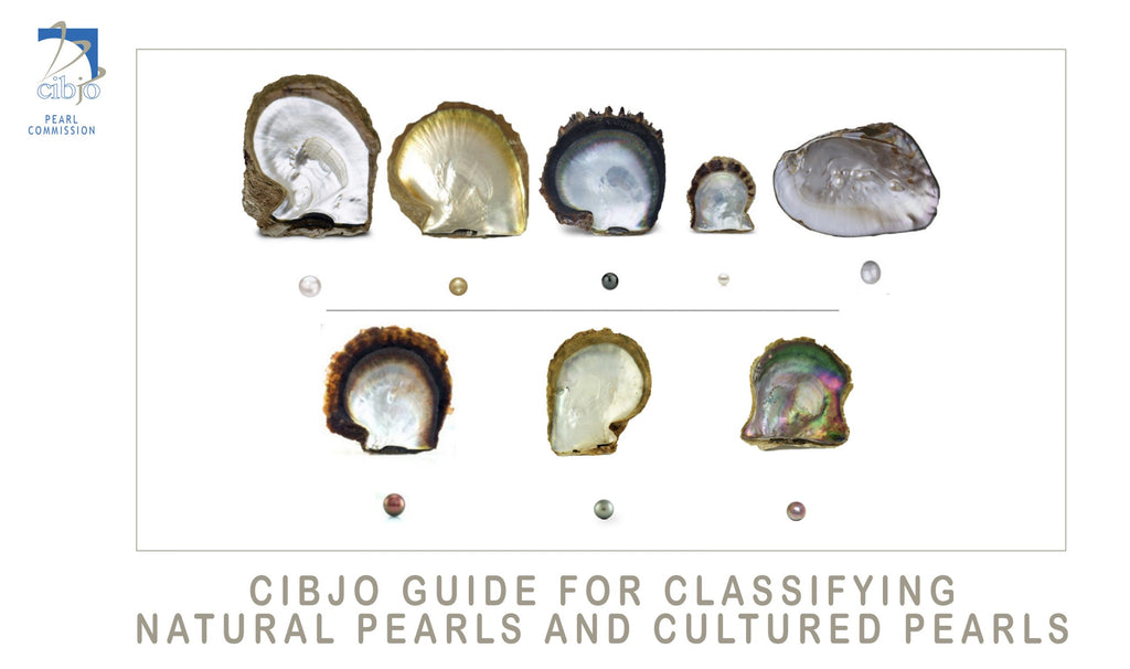 Pearl Categories Explained by CIBJO, The World Jewellry Federation